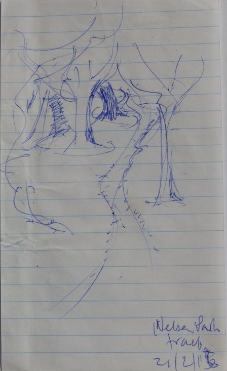 11. Nelson Park trail 21.2.15