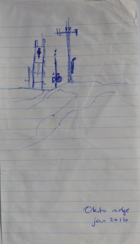 17a. Okitu ridge jan 2016