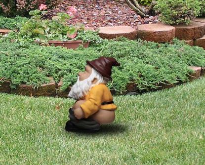 6a pooping-garden-gnome-0
