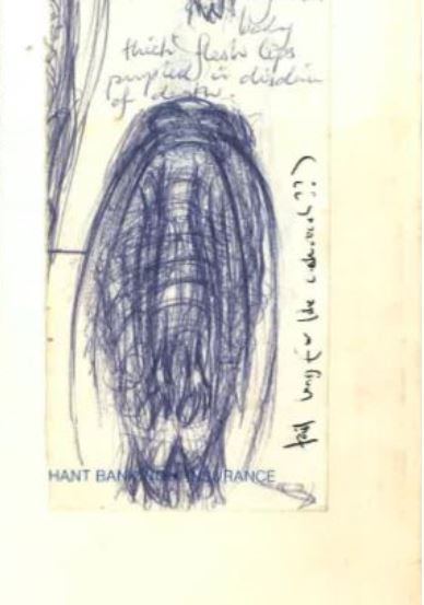 fish lizard bad cactus